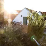 Vinarsky Dum Guest house Sedlec (Breclav)