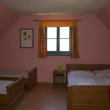 Vinarsky Dum Guest house Sedlec (Breclav)