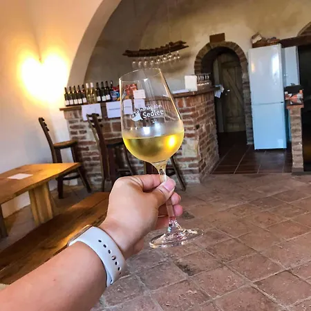 Vinarsky Dum Guest house