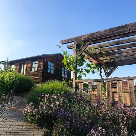 Guest house Vinarsky Dum