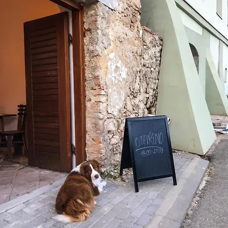 Vinarsky Dum Πανσιόν