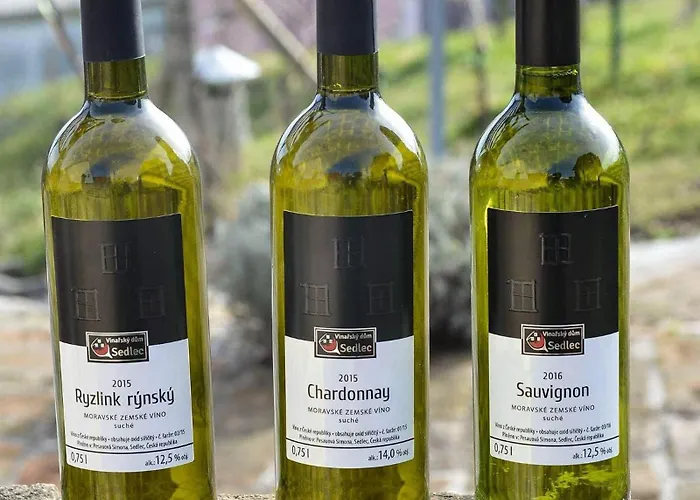 Vinarsky Dum بيت ضيافة 3*